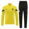 Borussia Dortmund Sweatshirts Anzüge Suit 2022-23 Gelbe Für Herren